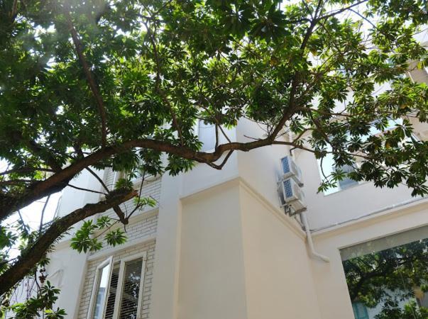Le Petit Ανόι Εξωτερικό φωτογραφία